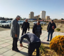 غرس 6 اصله نخل خرما در دانشکده تربیت بدنی و علوم ورزشی توسط ریاست و جمعی از کارکنان دانشکده