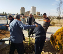 غرس 6 اصله نخل خرما در دانشکده تربیت بدنی و علوم ورزشی توسط ریاست و جمعی از کارکنان دانشکده