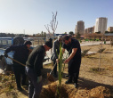 غرس 6 اصله نخل خرما در دانشکده تربیت بدنی و علوم ورزشی توسط ریاست و جمعی از کارکنان دانشکده