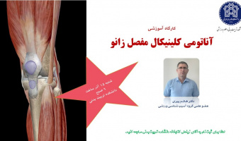 اطلاعیه برگزاری کارگاه آناتومی کلینیکال مفصل زانو