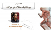 برگزاری کارگاه بیومکانیک عضلات در حرکت