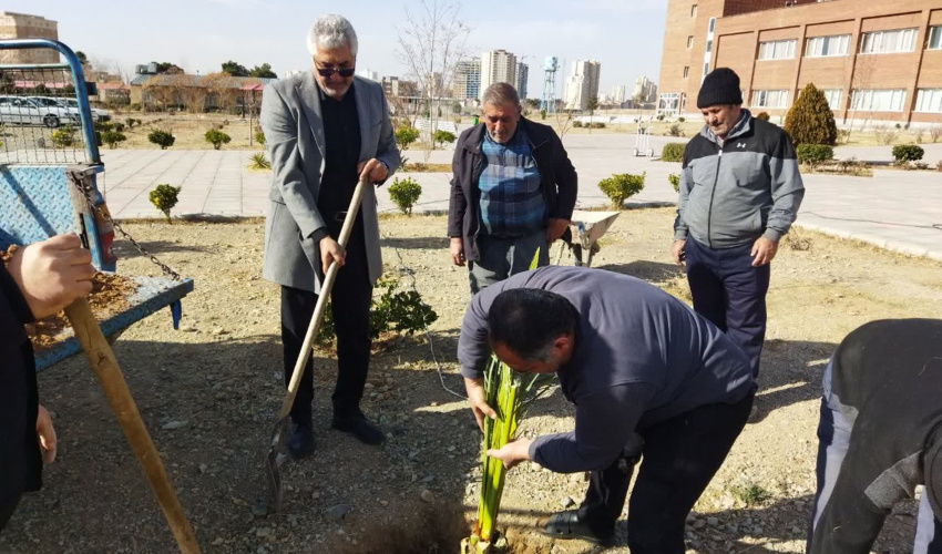 غرس 6 اصله نخل خرما در دانشکده تربیت بدنی و علوم ورزشی توسط ریاست و جمعی از کارکنان دانشکده