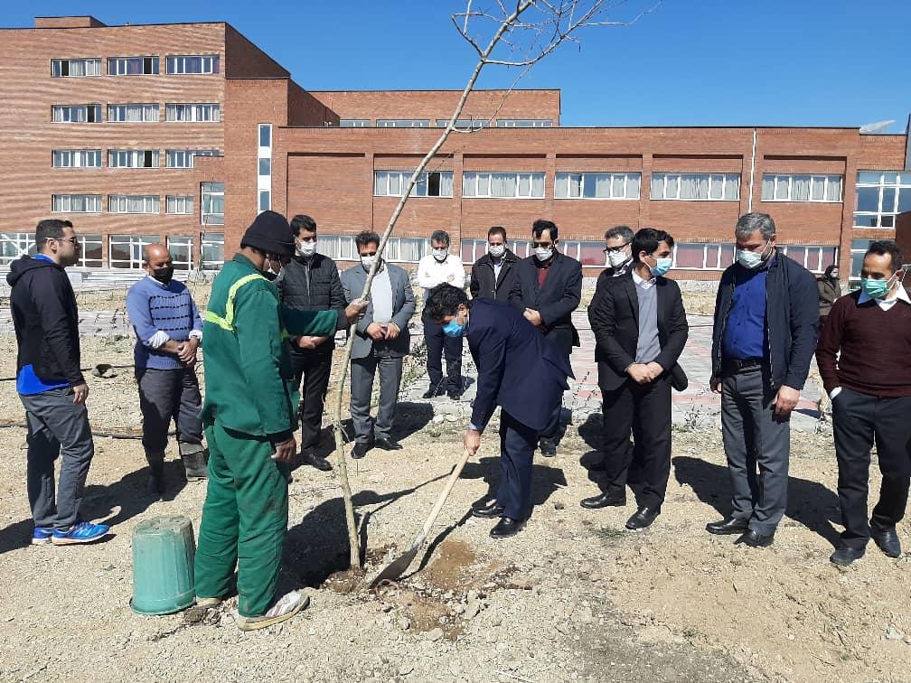 برگزاری  آیین روز درختکاری
