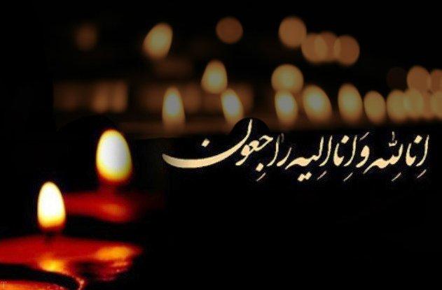 جناب آقای دکتر محمدکاظم واعظ موسوی (استاد و پیشکسوت محترم)