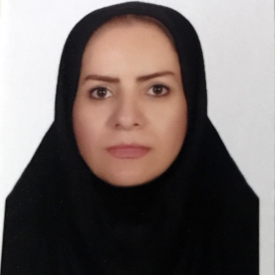 گیتی حایز