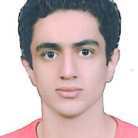 سیدحسام الدین اشرف منصوری