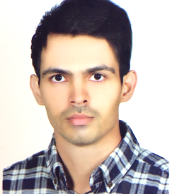 محمدرضا هاتفی