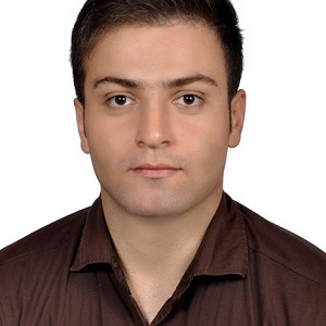پیمان هنرمند                            Peyman Honarmand